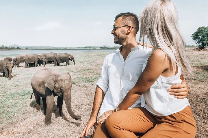 Majestic Mammals Of Sri Lanka: Whale & Elephant Safari Tour  - Photo 1 of 18